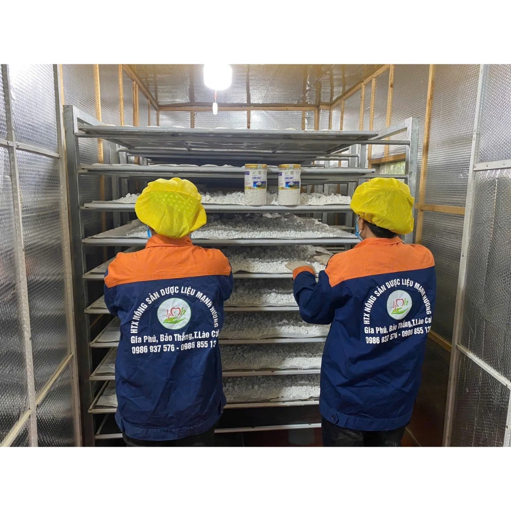 vn-11134207-7ras8-mdsfvpfx1vht71