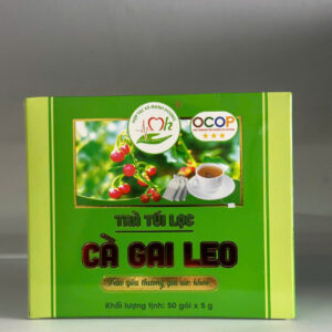 Trà cà gai leo túi lọc hộp 50gói